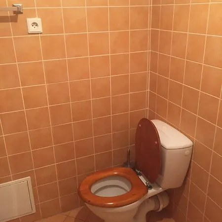 Apartments At The Golden Plough Prague Room photo