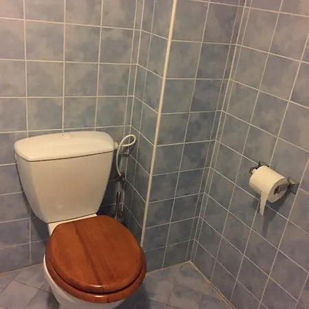 Apartments At The Golden Plough Prague Room photo